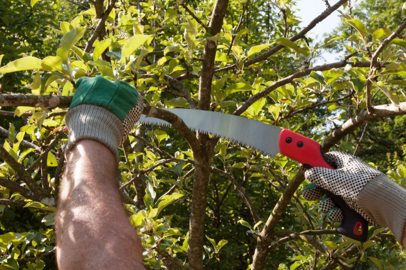 Tree Health Maintenance