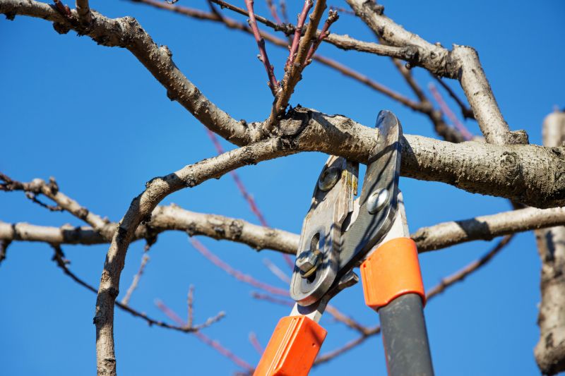 Pruning Overhanging Branches